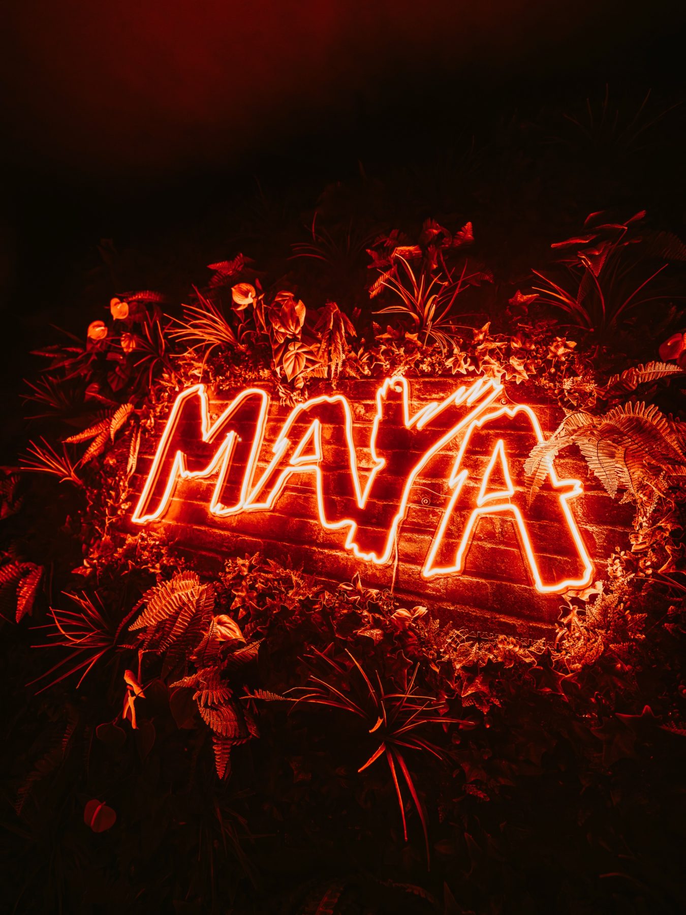 Ambiance de soirée au Maya, Champigny-sur-Marne